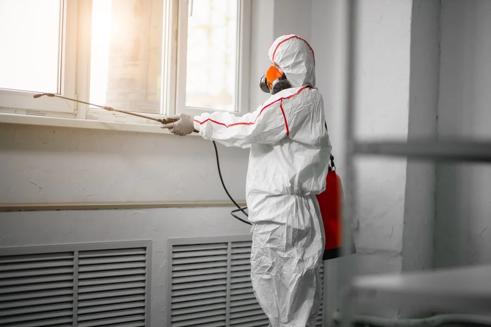 Professional mold remediation services in Luling, TX